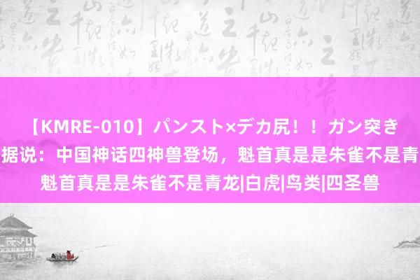 【KMRE-010】パンスト×デカ尻！！ガン突きBEST 最后的女武神据说：中国神话四神兽登场，魁首真是是朱雀不是青龙|白虎|鸟类|四圣兽