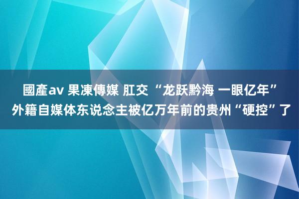 國產av 果凍傳媒 肛交 “龙跃黔海 一眼亿年” 外籍自媒体东说念主被亿万年前的贵州“硬控”了