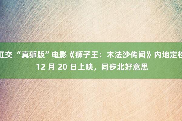 肛交 “真狮版”电影《狮子王：木法沙传闻》内地定档 12 月 20 日上映，同步北好意思