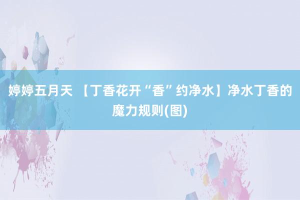 婷婷五月天 【丁香花开“香”约净水】净水丁香的魔力规则(图)